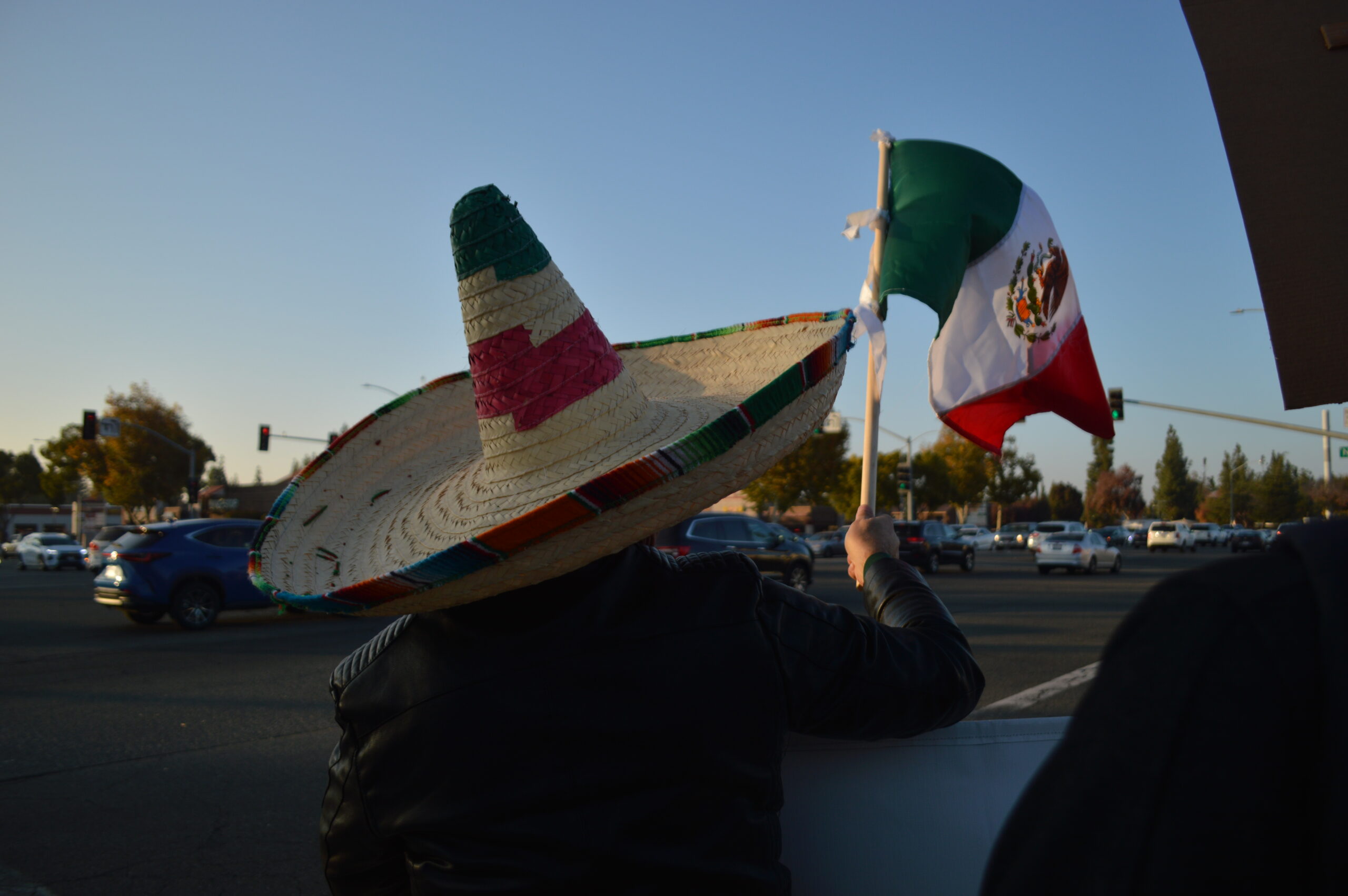 sombrero guy at Iran protest