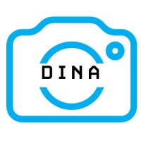 dina icon