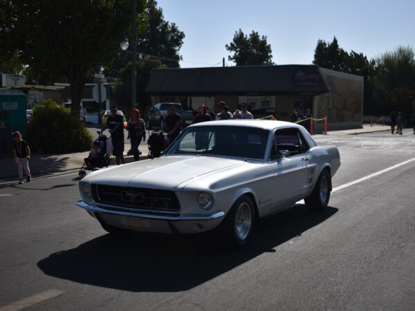 67' Mustang