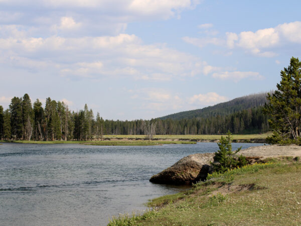 Yellowstone Park, Nature