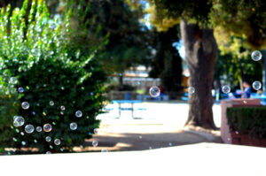 Bubbles 1