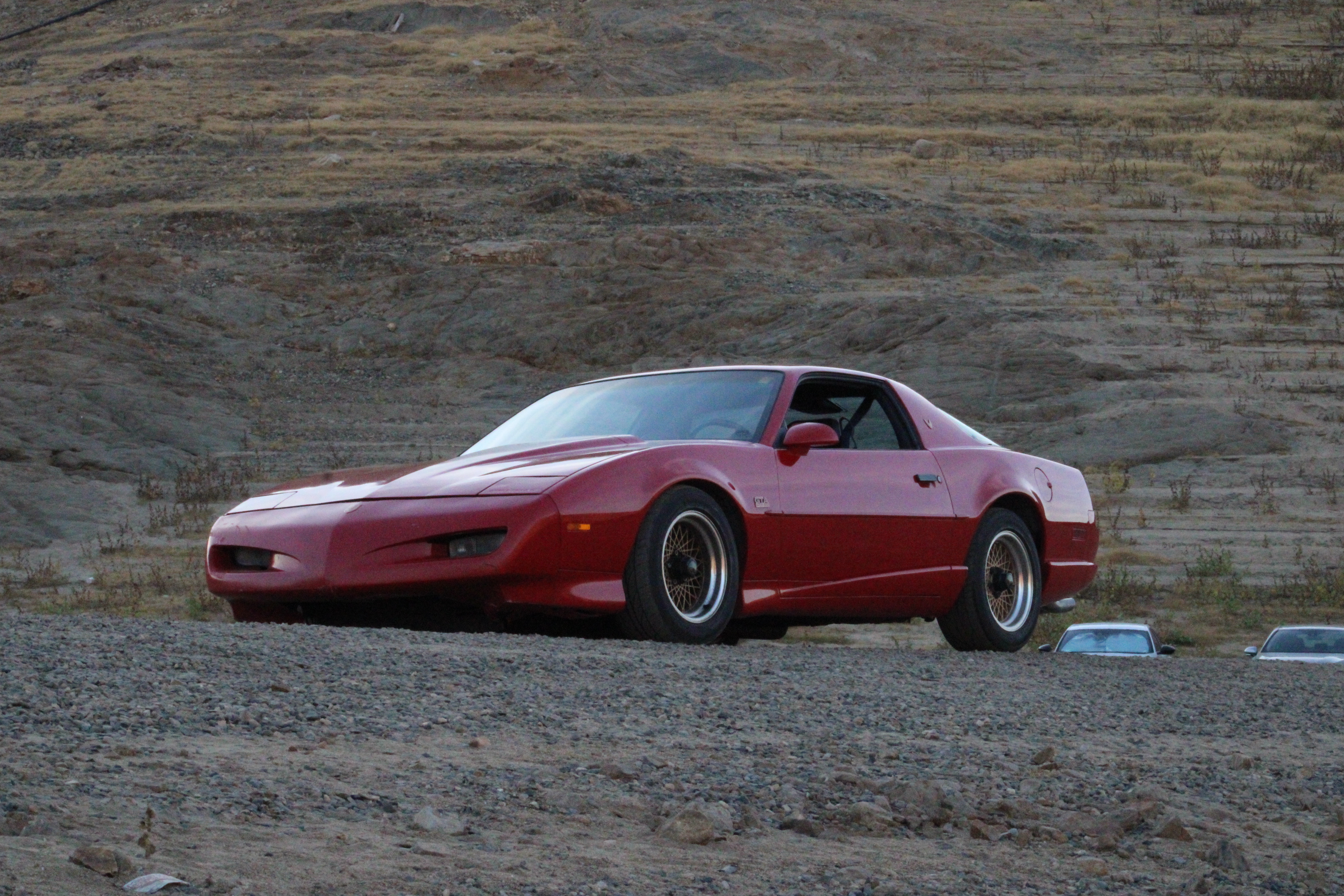 Pontiac Firebird, 1991