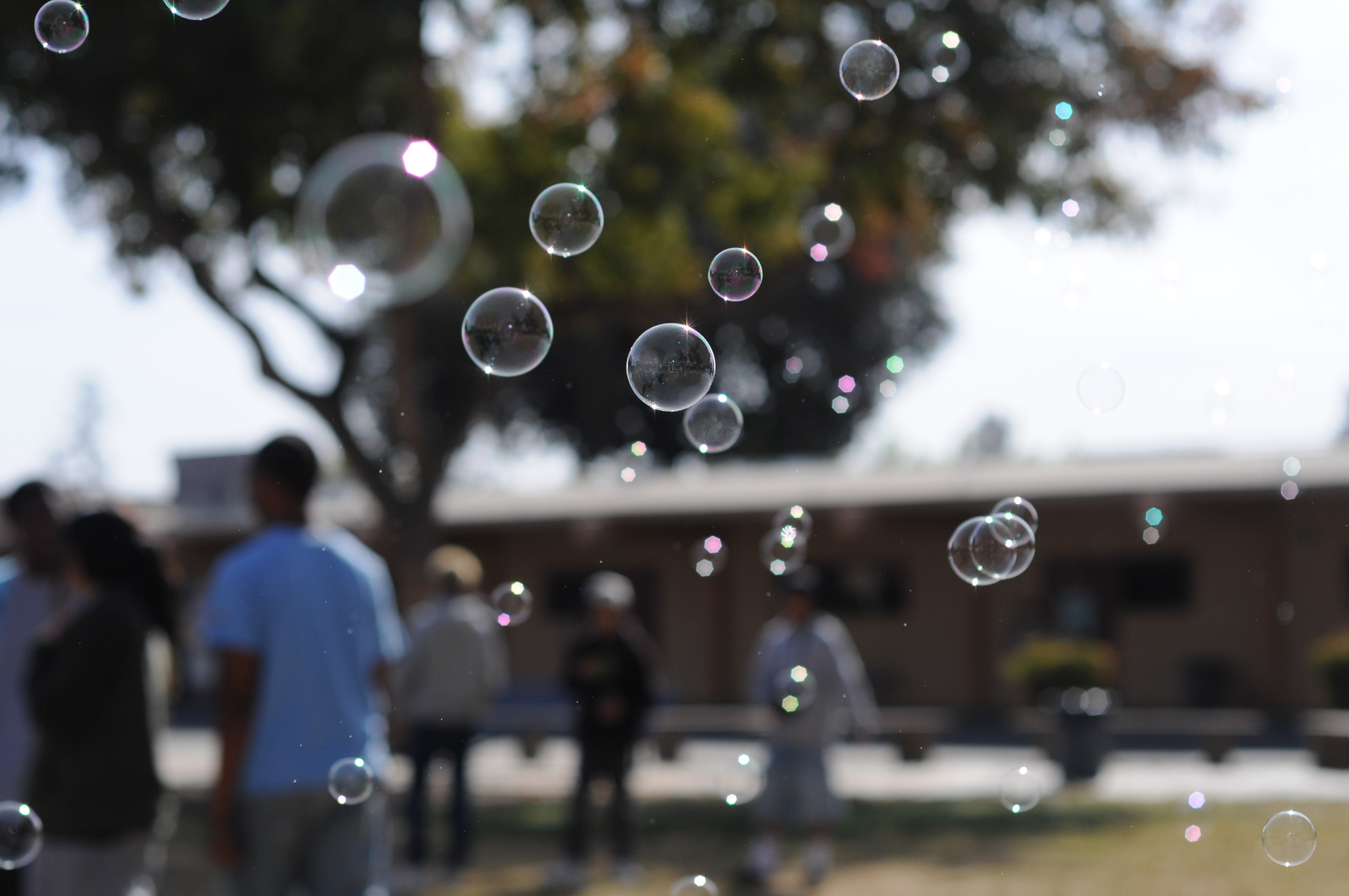 MiaLoBue.bubbleplanes.2024