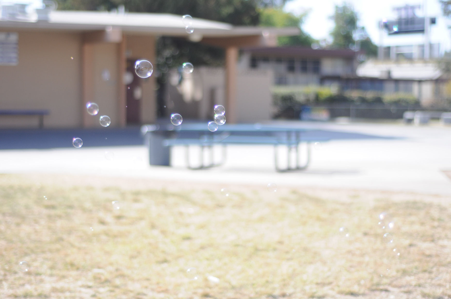 Bubbles and Planes