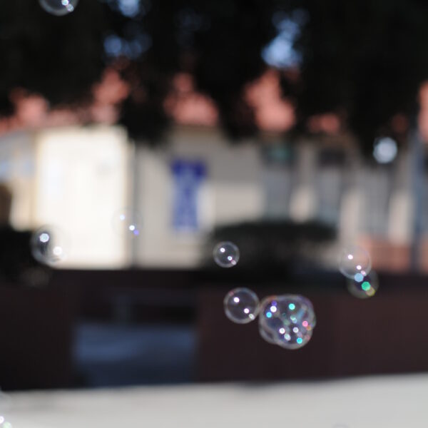 More Bubbles in Focus (different from image 1) 