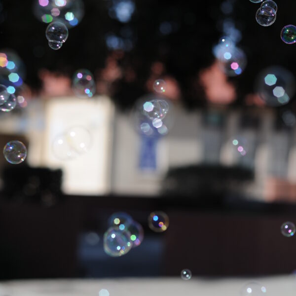 Bubbles in Focus