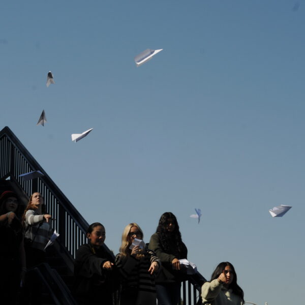 Planes From the Ground