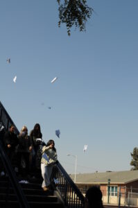 Portrait angle of airplanes