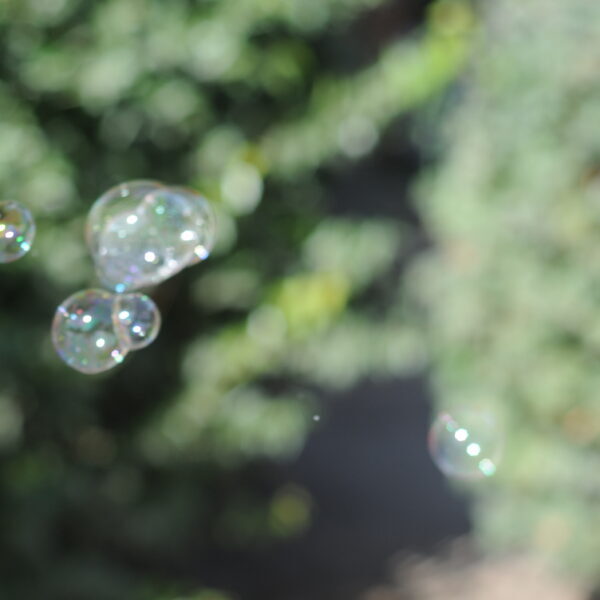 Bubbles With Bush